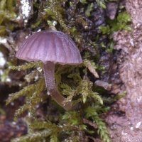  DSC0087