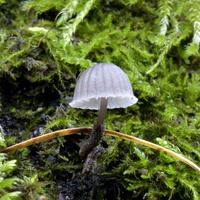  DSC0097