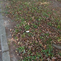 P2840057