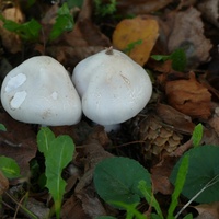 P2840059