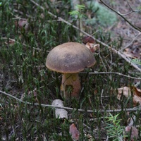 P2910005