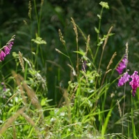 P2900940